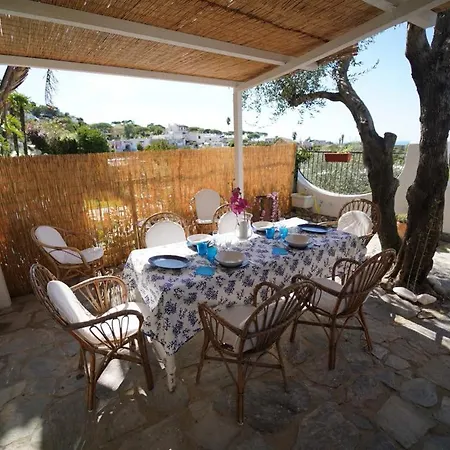 Le Palme * Forio (Isola d'Ischia)
